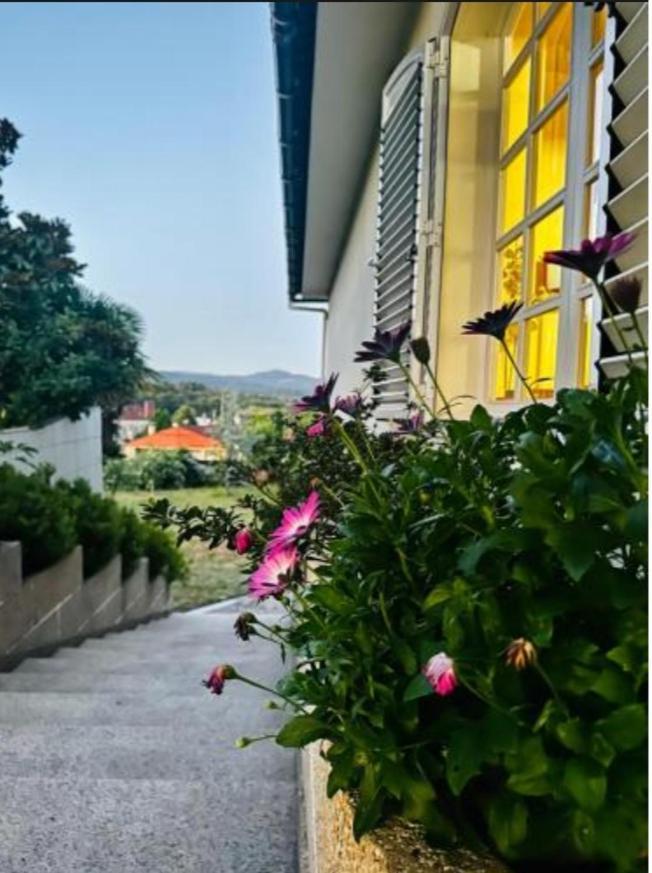 A Casa De Abelleira Ponteareas Bed & Breakfast ภายนอก รูปภาพ