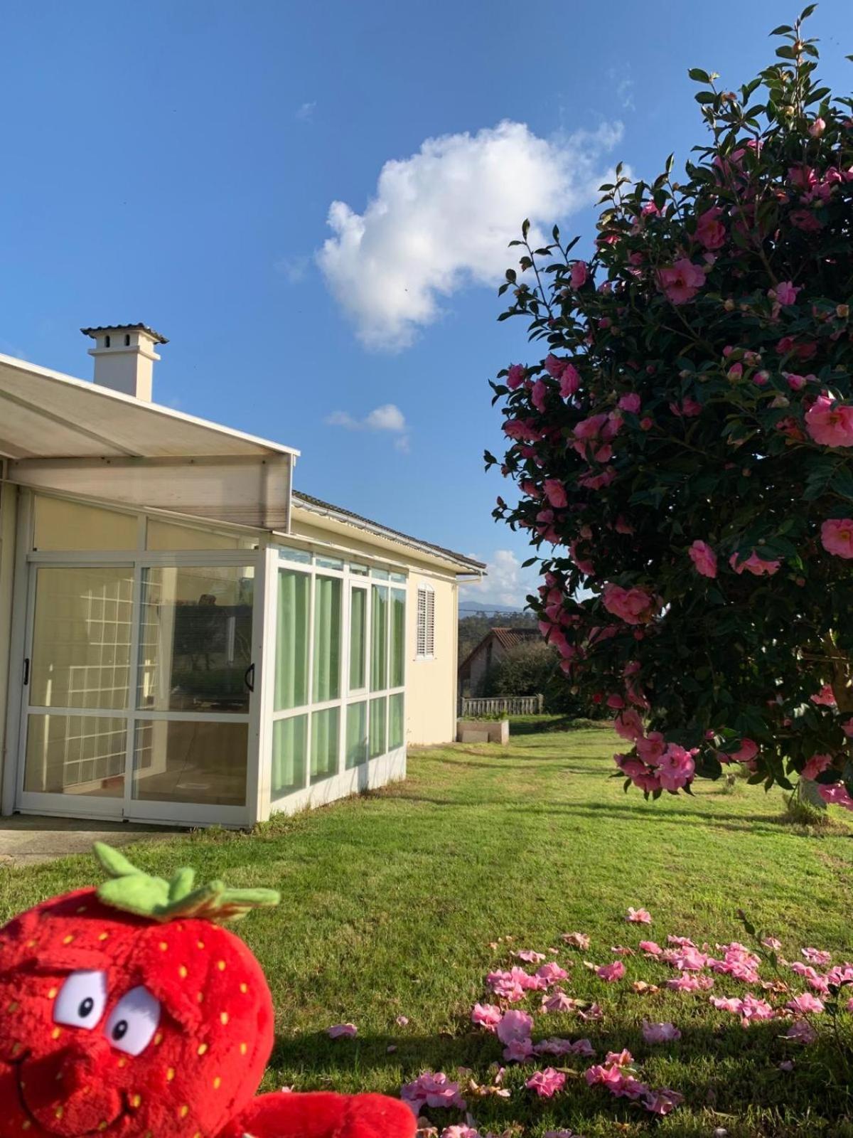 A Casa De Abelleira Ponteareas Bed & Breakfast ภายนอก รูปภาพ