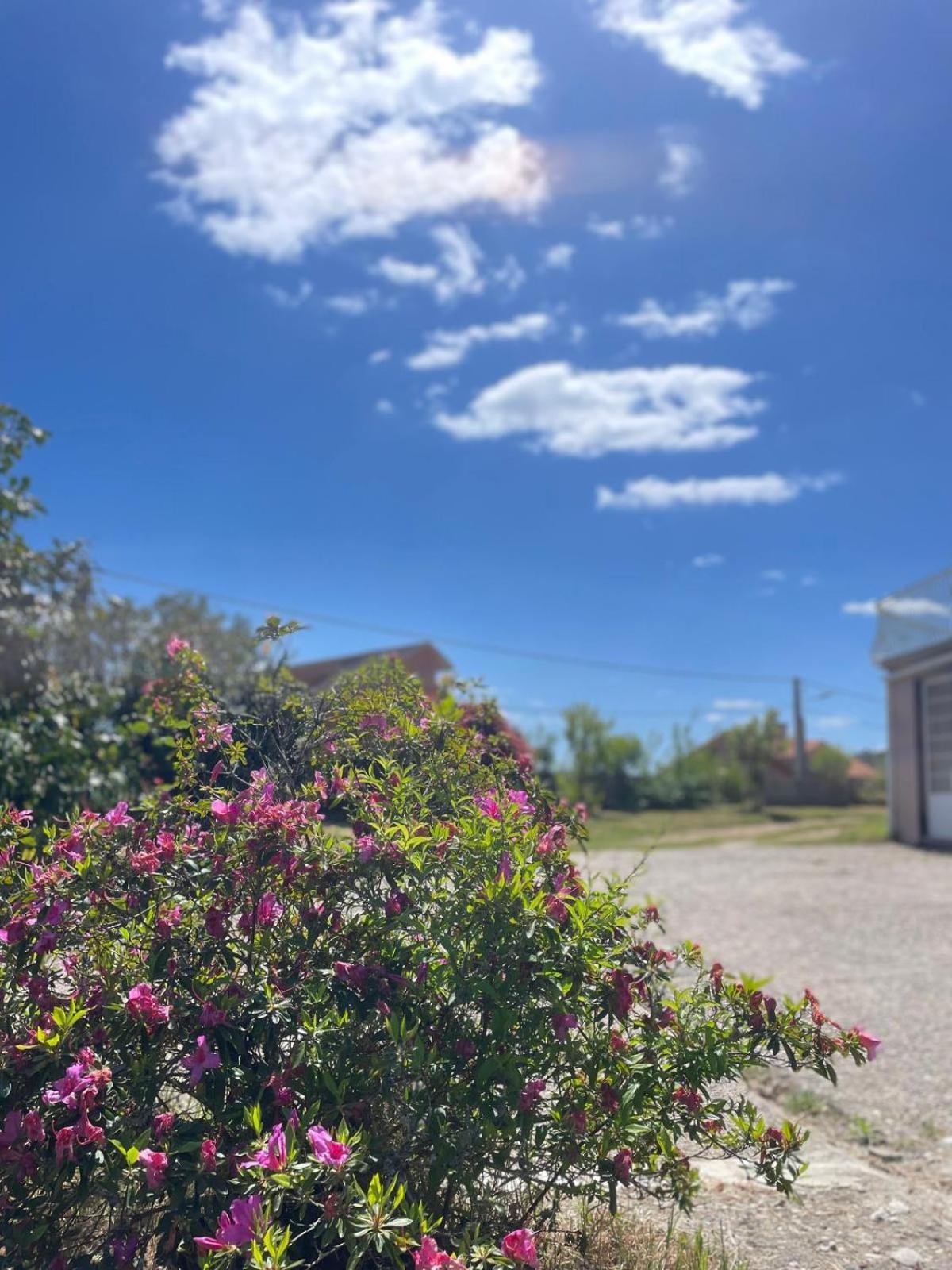 A Casa De Abelleira Ponteareas Bed & Breakfast ภายนอก รูปภาพ